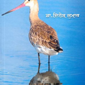 Satloj De Kande Kande