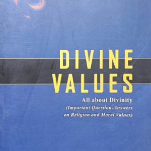 Divine Value All About Divinity