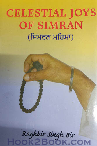 Celestial Joys of Simran