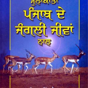 Mulakatan Punjab de Jungli Jeevan Naal
