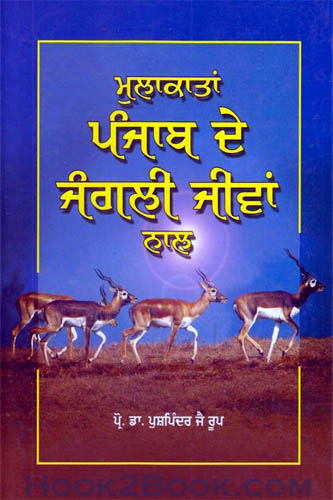 Mulakatan Punjab de Jungli Jeevan Naal