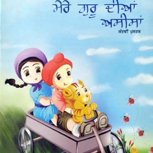 My Gurus Blessings 7