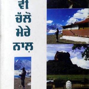 Tusi v Chalo Mere Naal