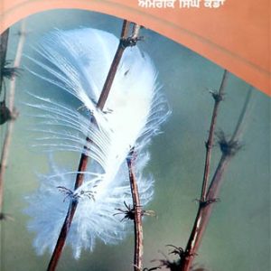 Chite Khamban Da Bharam