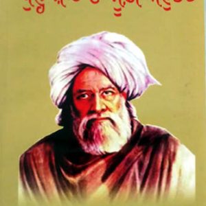 Bhulle Shah Da Sufi Anubhav