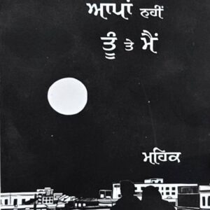 Apan Nahi Tu te Main Punjabi Poetry book by Mehak