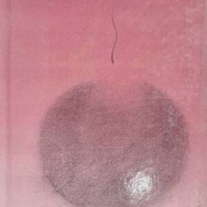 Chiti Mout Punjabi Novel book by Nadeem Parmar