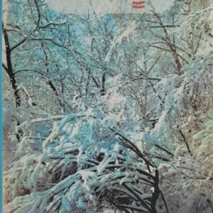 Jungle Boot Punjabi Stories book by Jasbir Bhullar