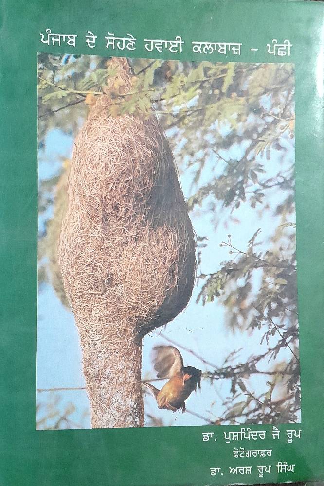 upload_1506544532979605505