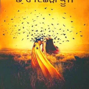 Daaro Vishri Konj Punjabi Novel book by Surinder Kaur Saini