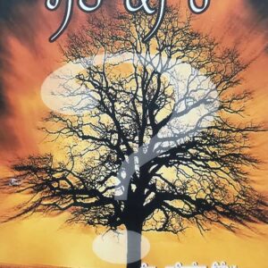 Maut Ki Hai? Punjabi Religious Prose book by Giani Harbans Singh