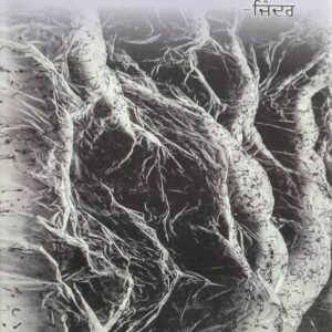 Kahaniyan De Ang Sang Punjabi Stories book by Jinder