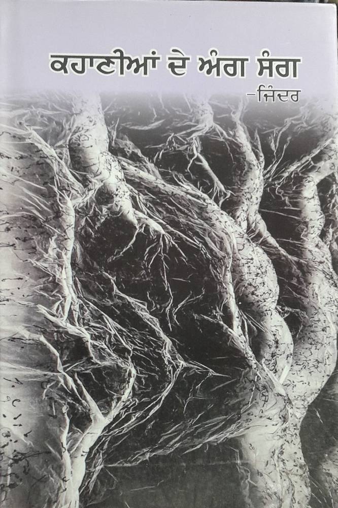 Kahaniyan De Ang Sang Punjabi Stories book by Jinder