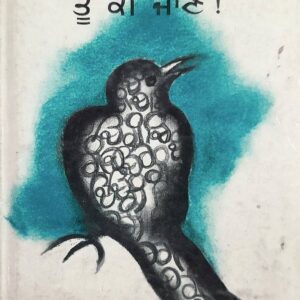 Chiriye Nee Tun Kee Jaaney Punjabi Prose book by Sitakant Maha Patra