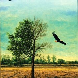 Son Mon Dharat Da Rosda