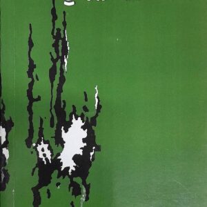 Bhubbal Di Agg Punjabi Stories book by Bachint Kaur