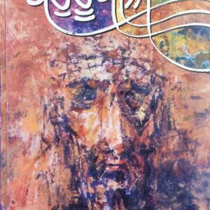 Bahuroopia Punjabi Stories book by S Saki