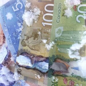 Barfeley Dollar Punjabi Novel book by Gurmail Biroke