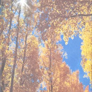 Usne Jangal Nu Jiteya Punjabi Novel book by Keshav Reddy