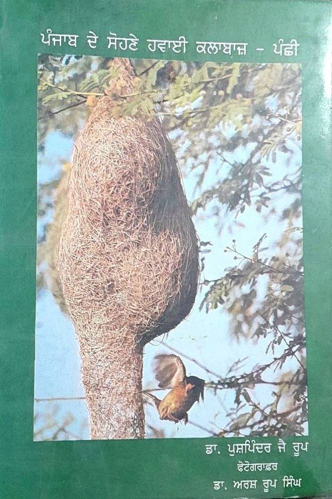 Punjab de Sohne Hawai Kalabaz Panchhi Punjabi Biographies book by Bhagwant Rasulpuri