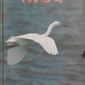 Nirp Punjabi Poetry book by Pritam Singh Dhanjal