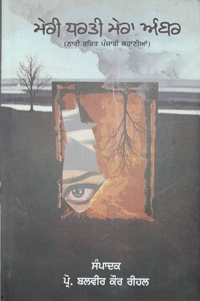 Meri dharti Mera Amber Punjabi Stories book by Balvir Kaur Reehal