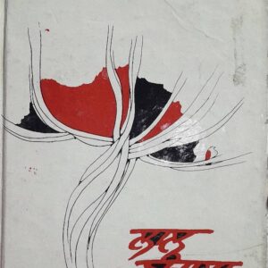 Laal Bungla Punjabi Prose book by Sarwan Minhas