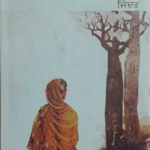 Confession Box Punjabi Prose book by Jinder