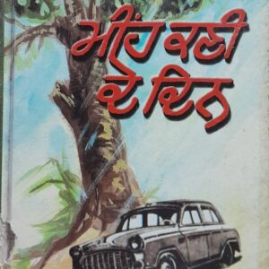 Meehn Kani de Din Punjabi Novel book by Darshan Singh