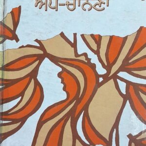Addh Chanana Punjabi Prose book by Darshan Singh