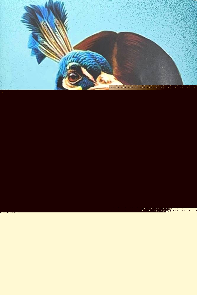 upload_4414510619764584803