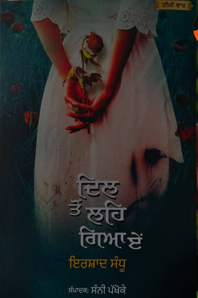 Dil Ton Leh Gaya Aae