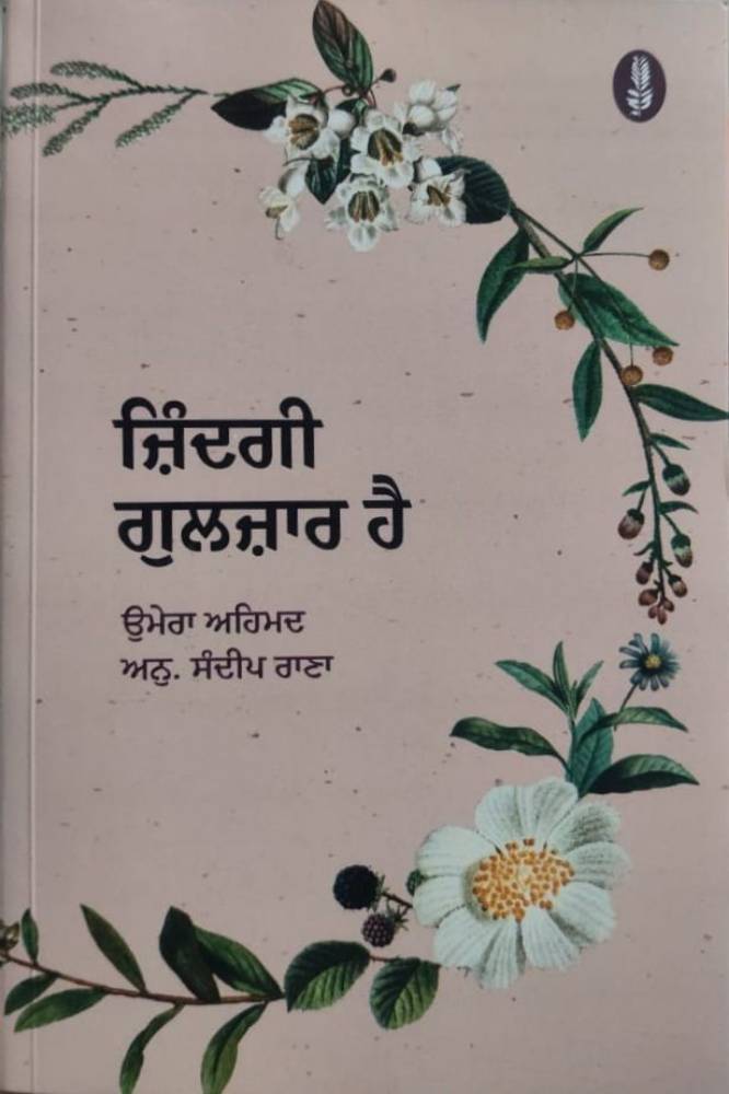 Zindagi Gulzar Hai Punjabi Novel book by Umera Ahmed