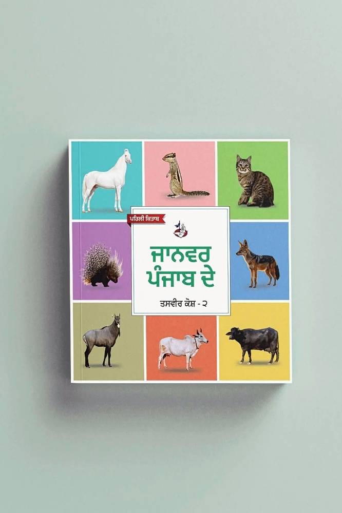 Punjabi Board books - Image 3