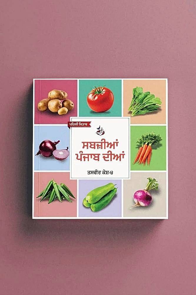 Punjabi Board books - Image 7
