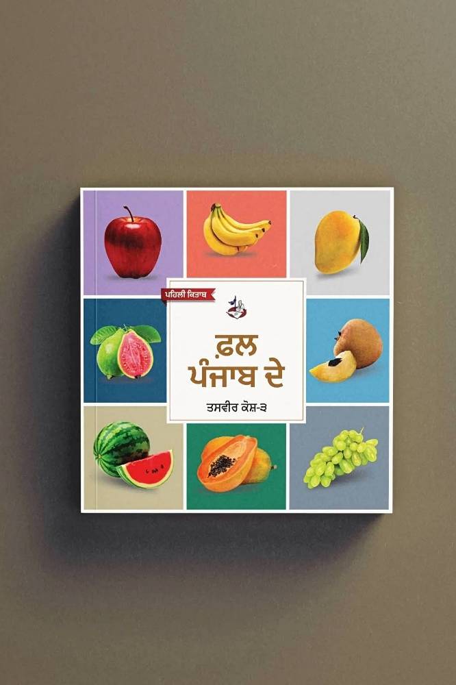 Punjabi Board books - Image 6