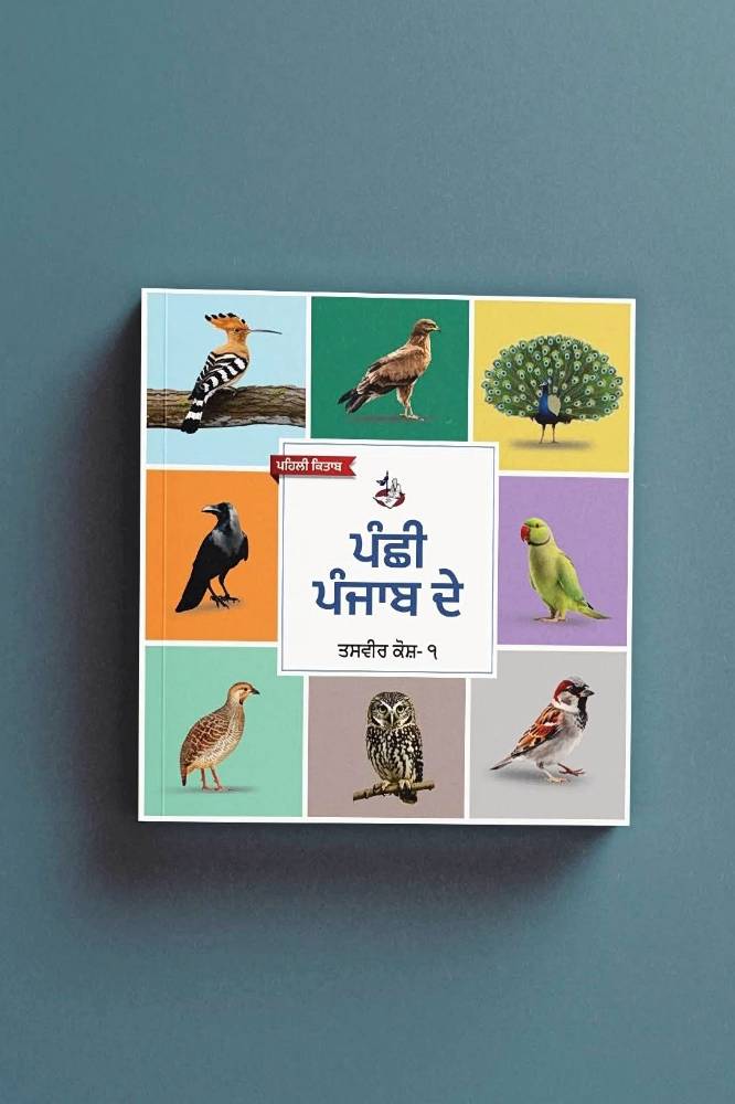 Punjabi Board books - Image 2