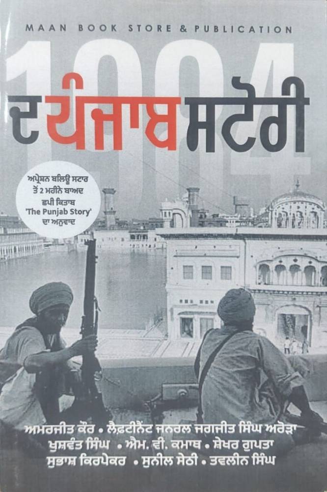 The Punjab Story